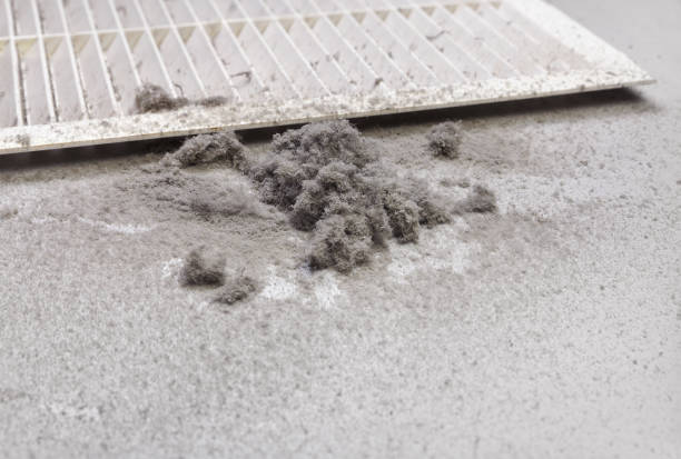 Best Air Duct Sanitizing Services  in De Motte, IN