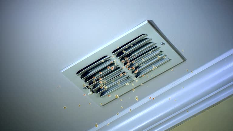 De Motte, IN Airduct Cleaning Company