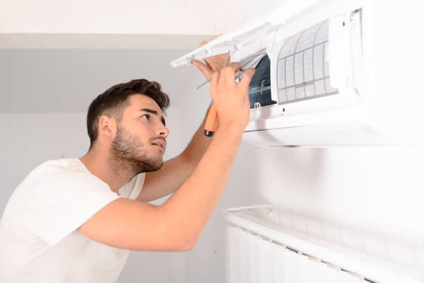 Best Ductwork Cleaning Services  in De Motte, IN